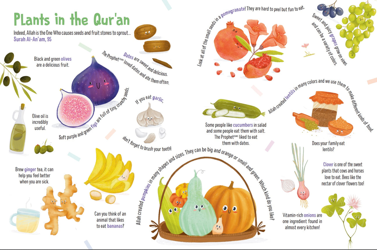 First Words from the Quran - Board Book