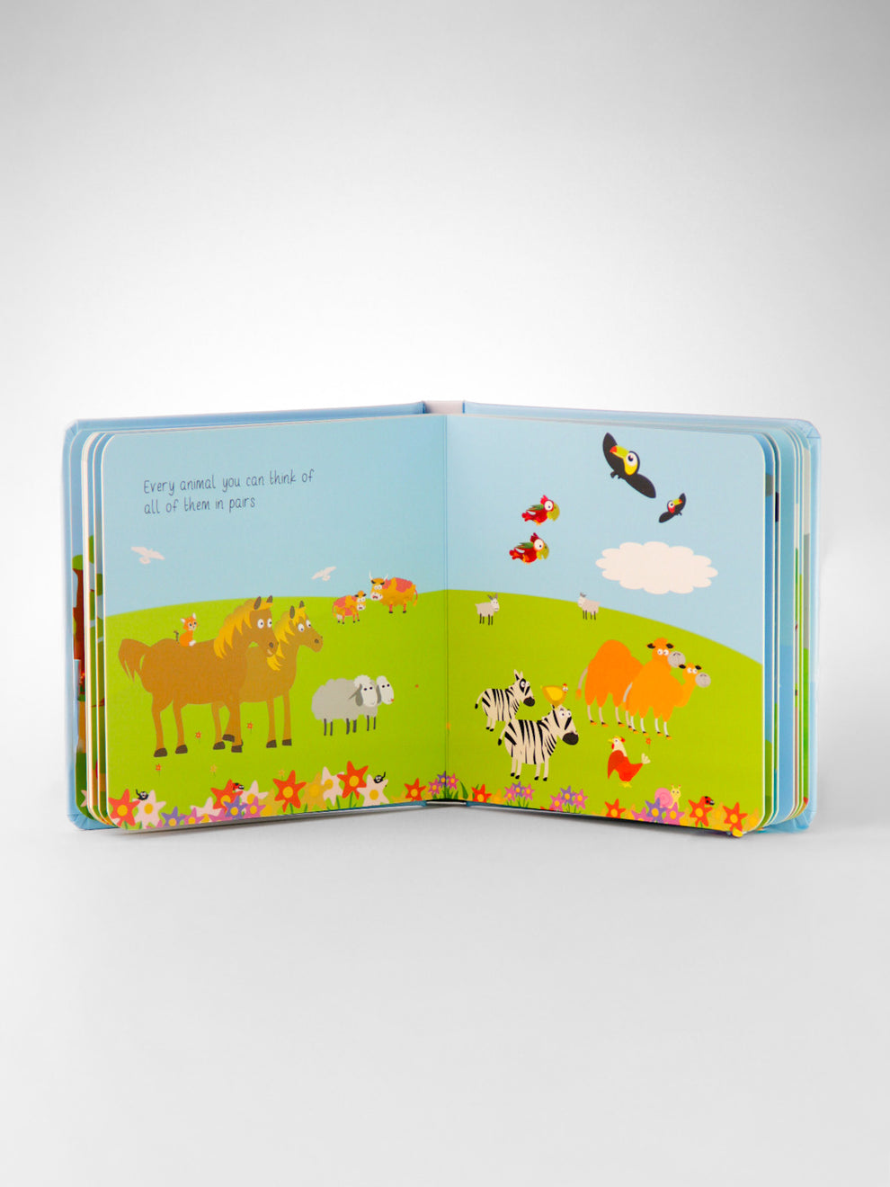 Prophet Nuh Board Book