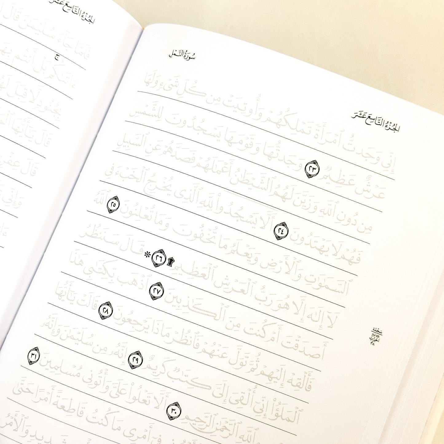 Quran Trace - Traceable Medina Uthmani Script