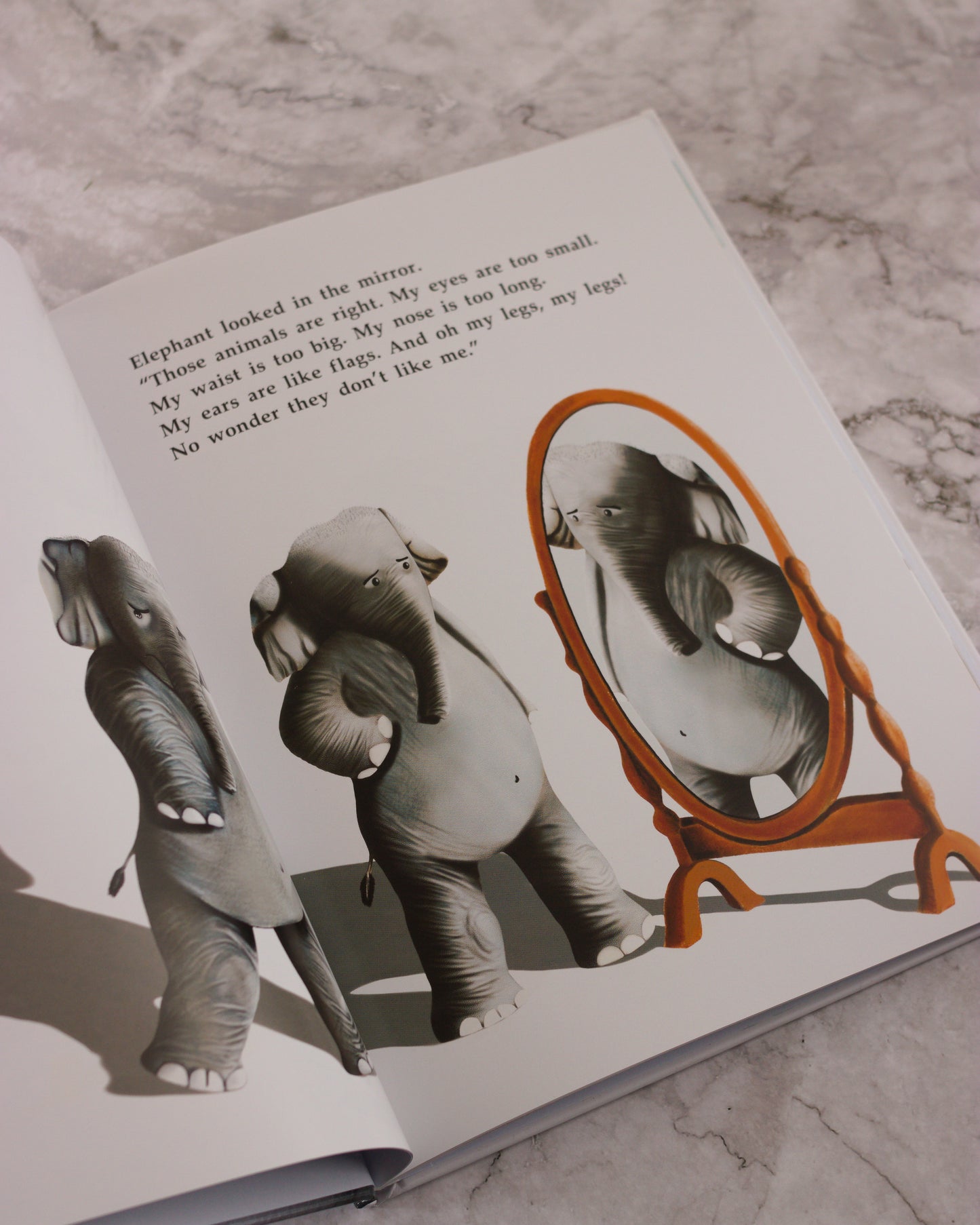 Elephant's Makeover