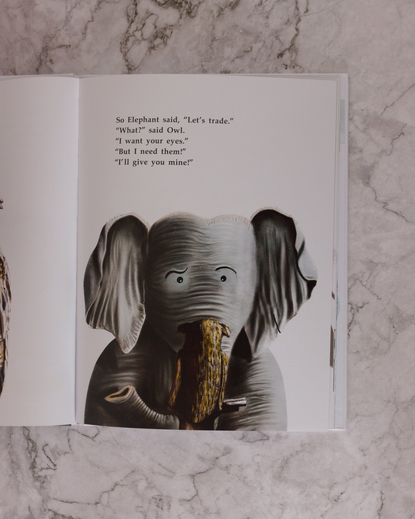 Elephant's Makeover