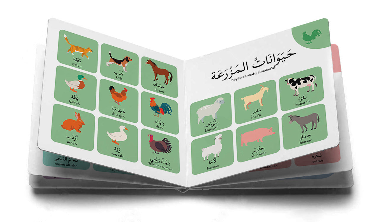 Learning My First Arabic Words - Anafiya Gifts