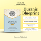 Quranic Blueprint - One Page Surah Outline (A4) - New Updated Version