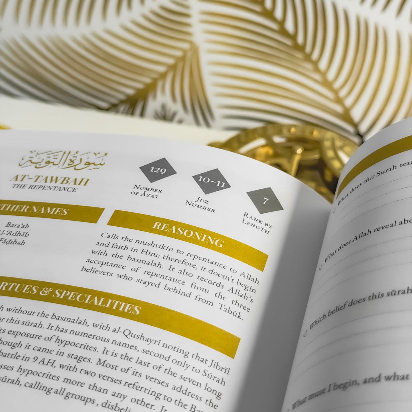 Quran Compass: Surah by Surah Study Guide & Reflection Journal (Deluxe Edition)