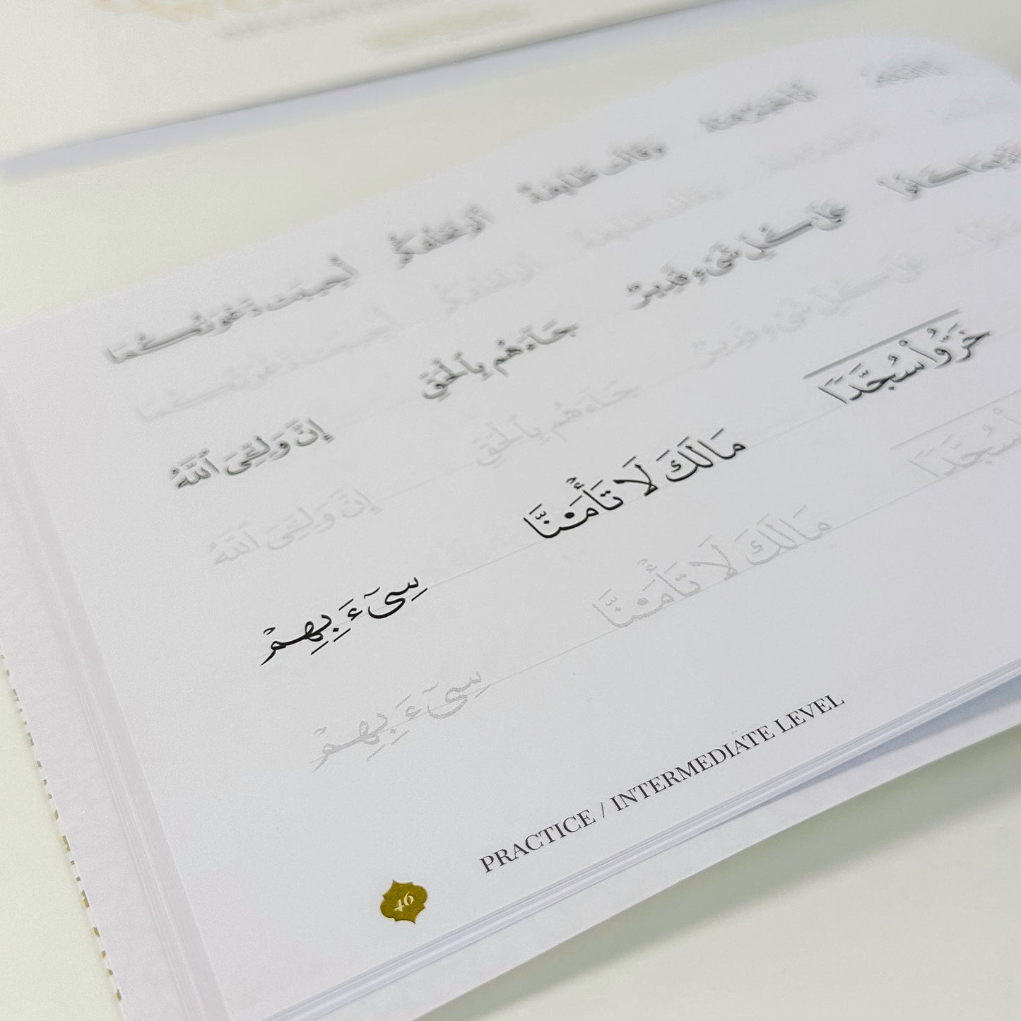 Quran Trace Workbook: Step-by-Step Calligraphic Guide